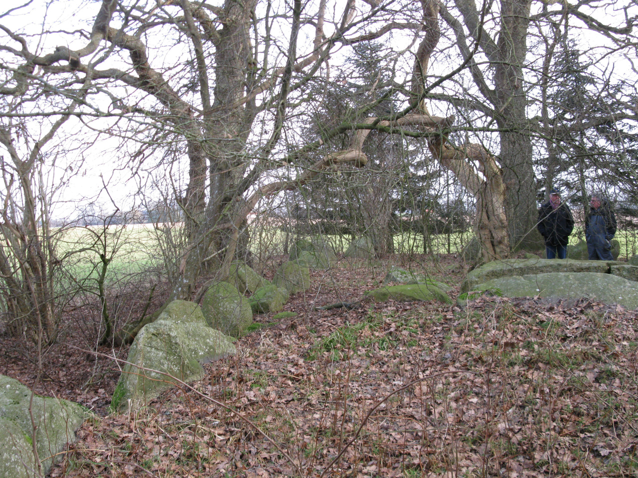 Storstensgraven ved Dyssemosen